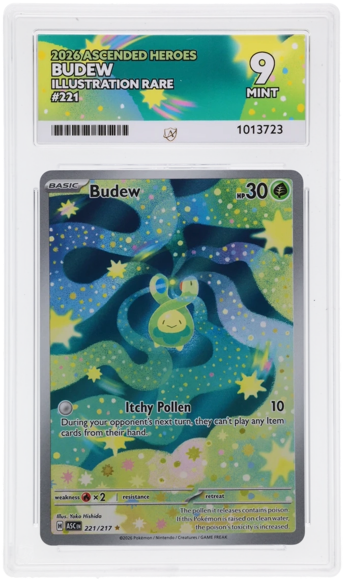 Card Front