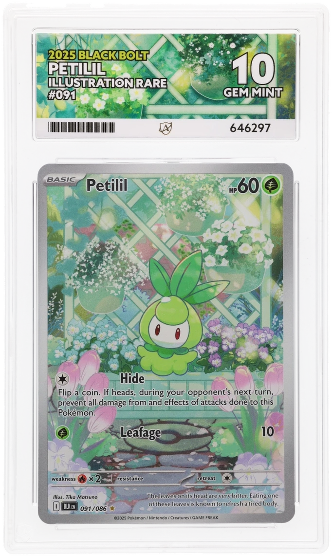 Card Front