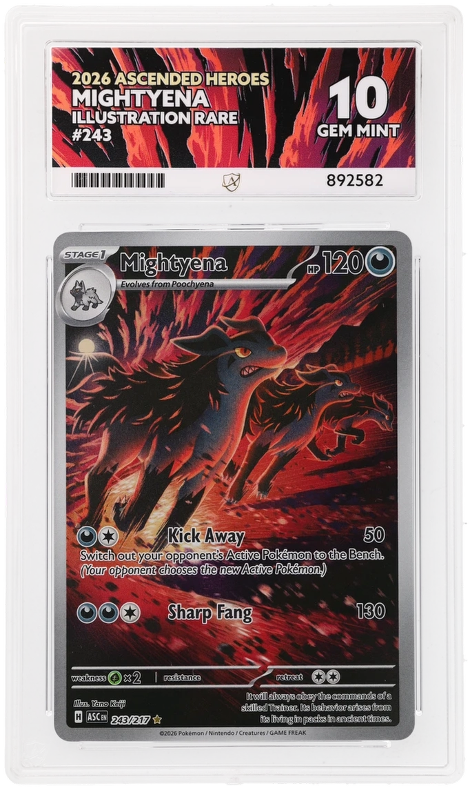 Card Front